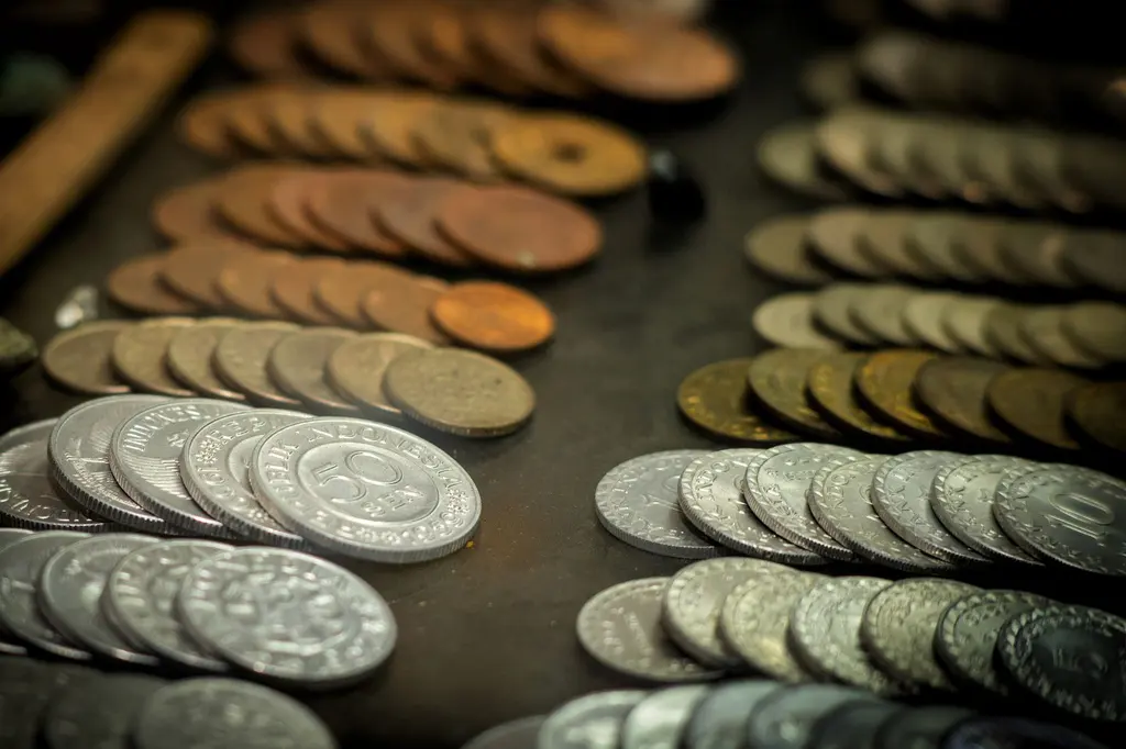 古い硬貨が並ぶ様子を近くから